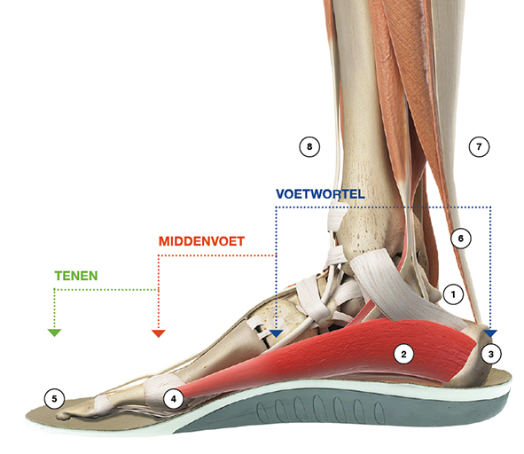 Medisole inlegzole | De Hardloopwinkel Webshop