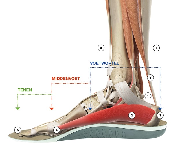 Sportschoenen voor platvoeten new arrivals