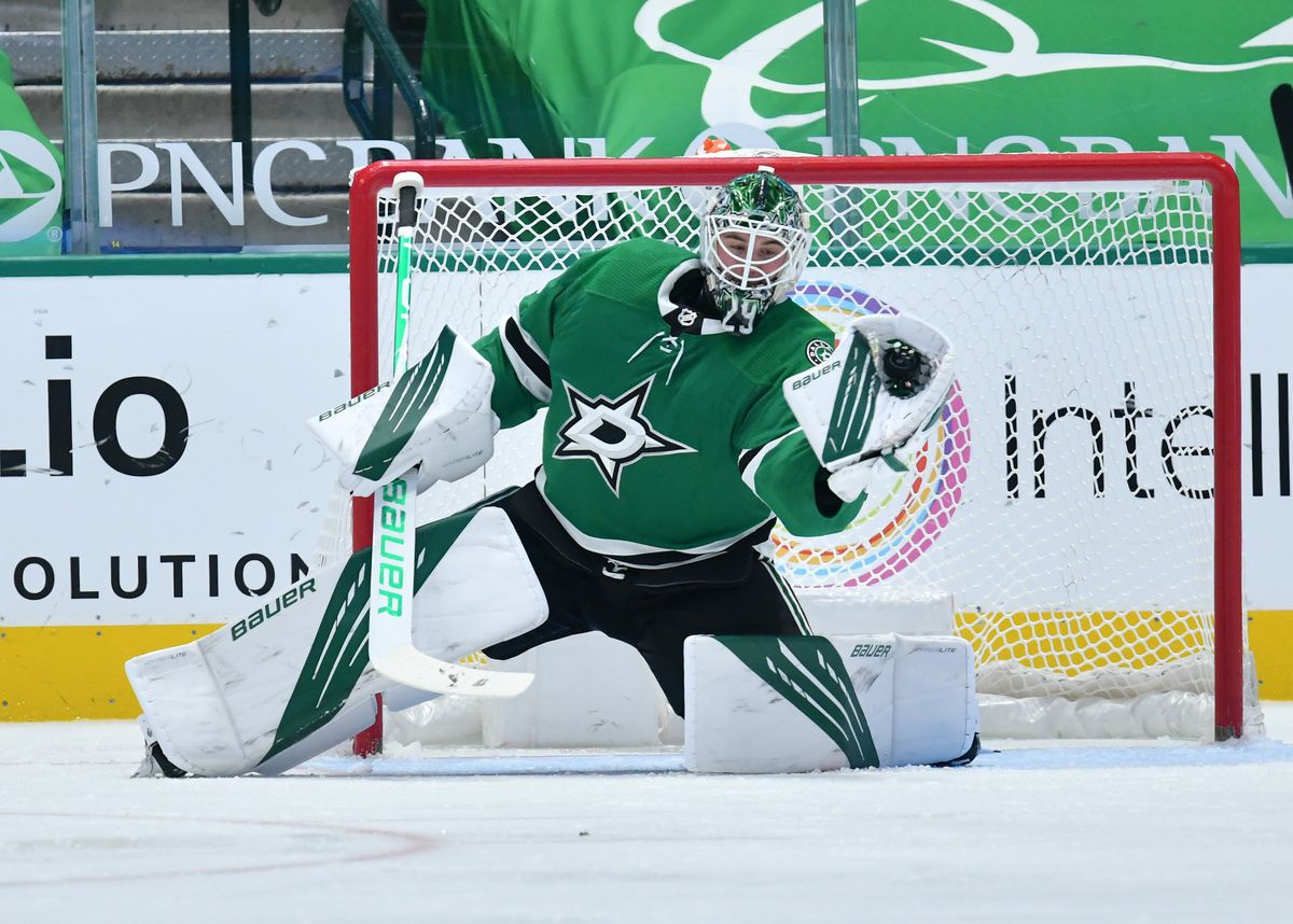 braden holtby ˎˊ ˗ in 2023  Dallas stars hockey, Stars hockey